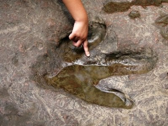 Մեծ դինոզավրերի հետքեր են հայտնաբերվել Չինաստանի «վիշապների քաղաքում»